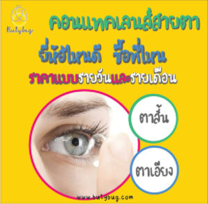 คอนแทคเลนส์สายตายี่ห้อไหนดี ซื้อที่ไหน ราคาแบบรายวันและรายเดือน ตาสั้นตาเอียง