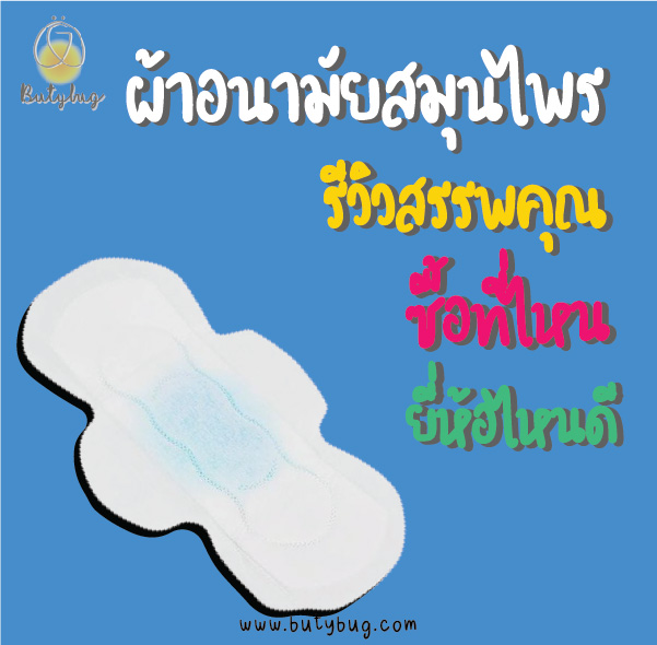 ผ้าอนามัยสมุนไพร รีวิว สรรพคุณ ซื้อที่ไหน ยี่ห้อไหนดี-01-01